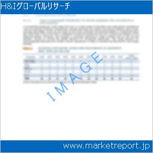 市場と産業調査レポートのイメージ